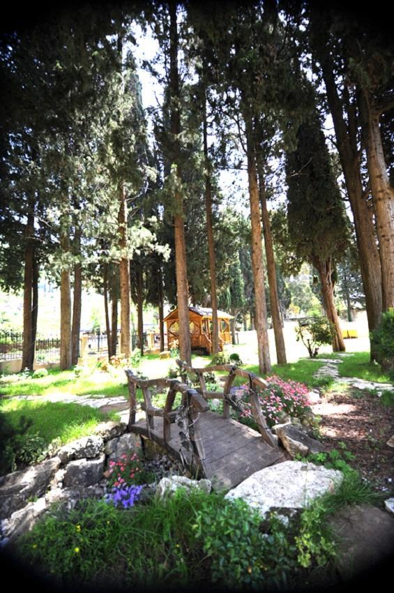 Lazurniy Bereg Gagra Exterior foto